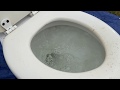 Another Toilet Destruction