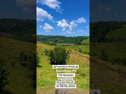 Fazenda á venda na cidade de Barreiros-PE  R$ 2.000.000,00  81 98782-0944