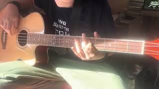 Santiano Rolling Home auf der Akustik Bass Gitarre #santiano  #dirkschlag 