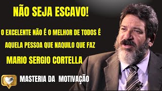 MARIO SERGIO CORTELLA - O EXCELENTE NÃO É O MELHOR DE TODOS É AQUELA PESSOA QUE NAQUILO QUE FAZ