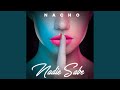 Nadie Sabe Nadie Sabe