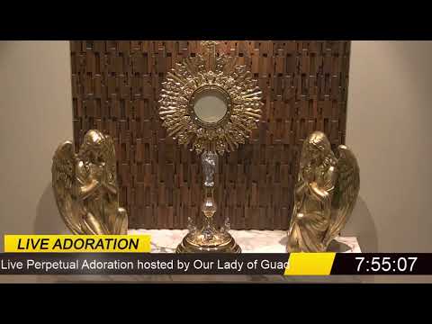 LIVE Eucharistic Holy Hour from Doral, Florida