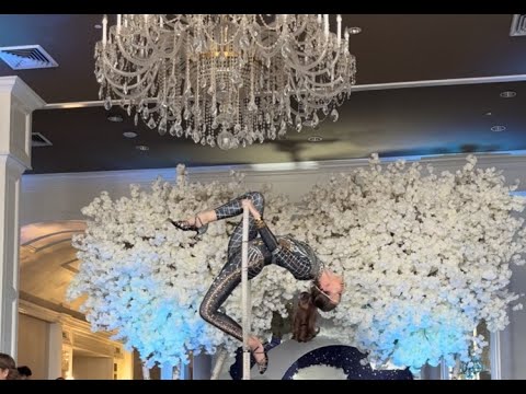 Promotional video thumbnail 4 for Malin Aerial Dance LLC