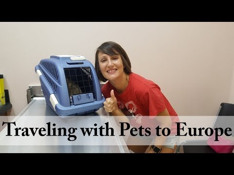 How to take your Pets to Europe