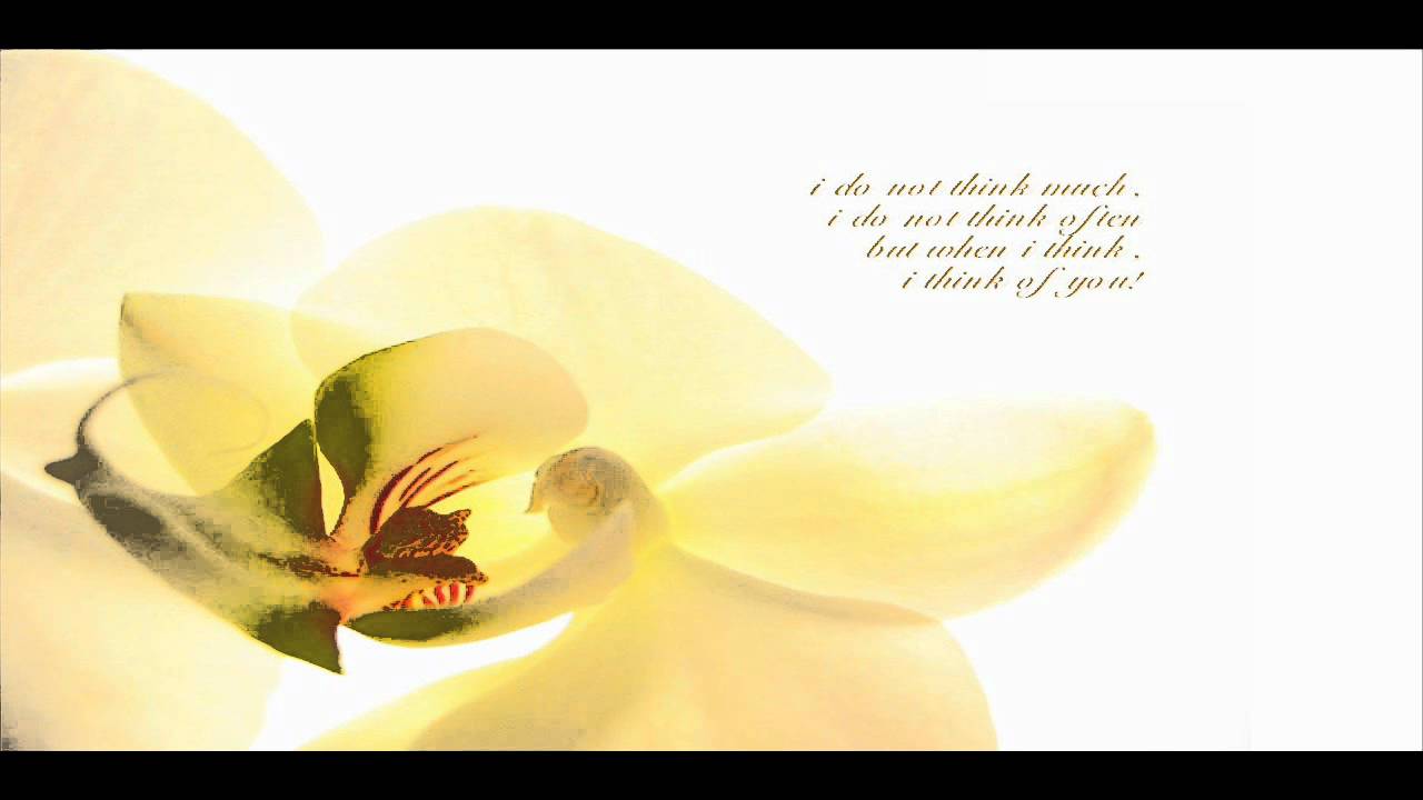 Lagte To Ho Tum Ajnabee Lyrics  | I Proud To Be An Indian | Sohail Khan, Tim Lawrence | Babul Supriyo, Daboo Malik | Daboo Malik