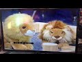 My Favorite Part Of The Alphabet Zoo