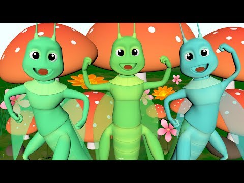 Con Cào Cào - Nhạc Thiếu Nhi Sôi Động - HEO CON TV