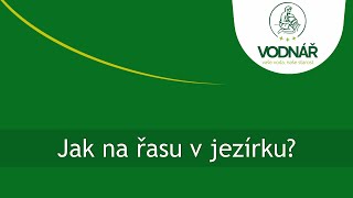 Vodnář jezírka Řasy kontakt - 1 kg