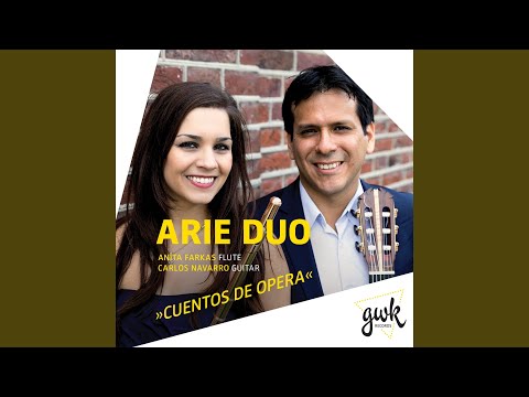 Fantasy on "Carmen", Op. 25 (Arr. Arie Duo)