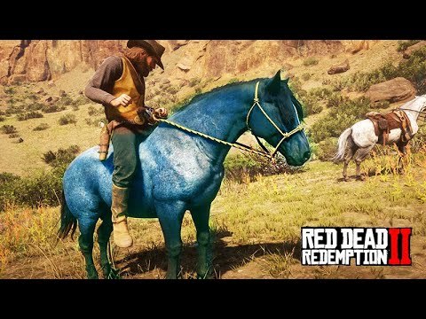 The horse tamer - Taming the Bluish Nokota - Red Dead Redemption 2