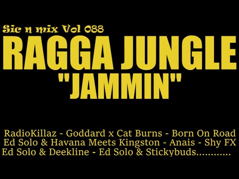 Sic n Mix Vol 088 Ragga Jungle - Jammin' (2011-25)