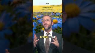 הפרחים הצהובים והפרחים הכחולים - עם הרב משה לנדאו