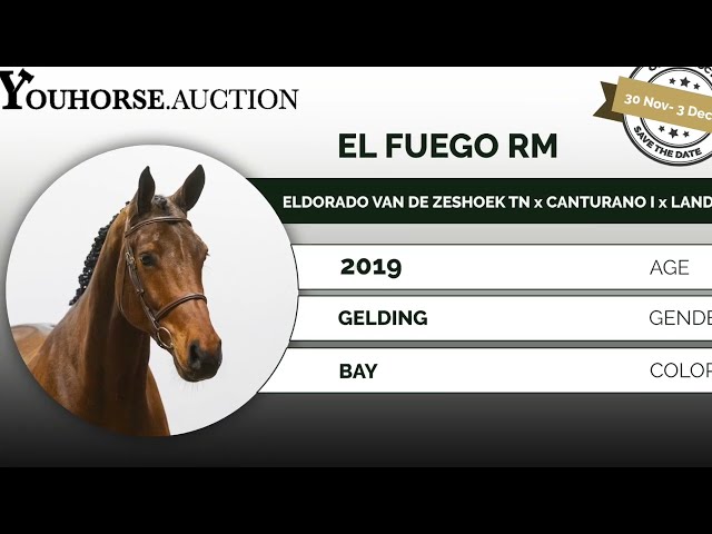 El Fuego trainingsvideo