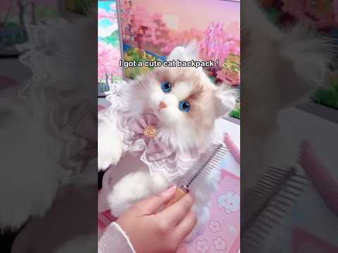 Video 1
