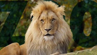 "Wild Life" Animals in Zoo Berlin  | shot on Sony A7sⅢ