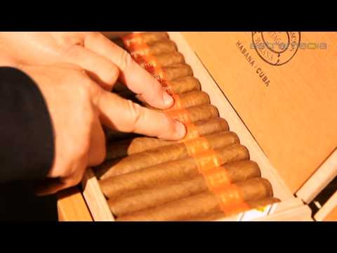 download lagu mp3 mp4 Don Cigarro, download lagu Don Cigarro gratis, unduh video klip Don Cigarro
