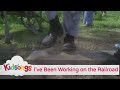 Kidsongs I Ve Been Working On The Railroad