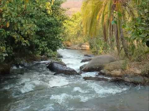 V. DOMINGOS -  Kimbo yeto (Angola)