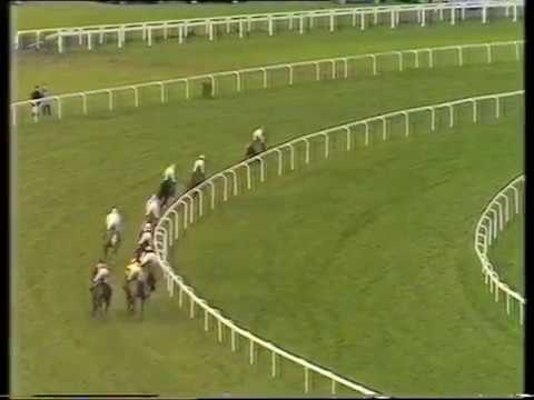 1987 Youngmans Long Walk Hurdle