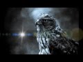 The Jezabels - Long Highway (lyrics) 
