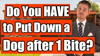 What to do after your dog bites someone. How to save her life.