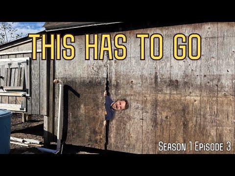 SHED IS LEAKING | Turning Bad Water into Good Water