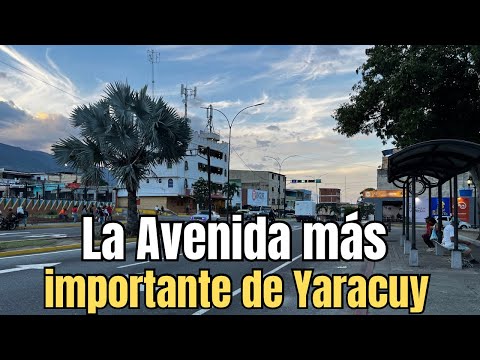 “La 5ta Avenida” en SAN FELIPE capital de Yaracuy en vivo