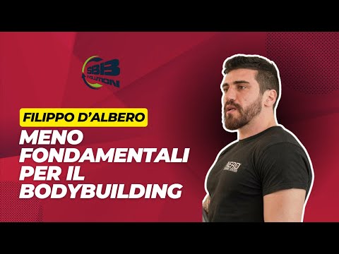 MENO FONDAMENTALI PER IL POWERLIFTING (ed il bodybuilding)