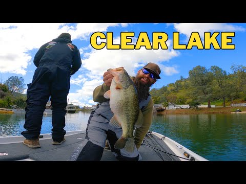 SUCCESS at The Big Pond | Clear Lake Bass Fishing