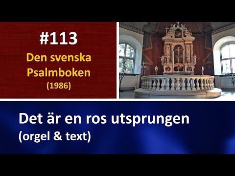 (Sv. Ps. 113) Det är en ros utsprungen (orgel & text)