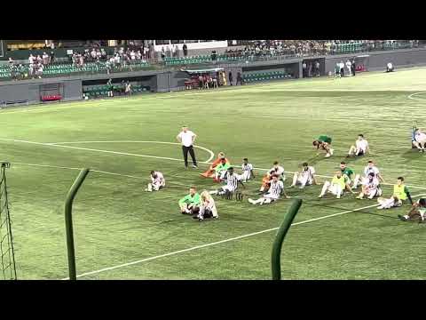 Vilniaus Žalgirio fanai klubo direktorei Vilmai dainuoja Iš Lėto Leidžiasi Saulė