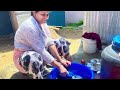 Breastfeeding Breastfeeding Srijana Shahi Breastfeeding Vlogs