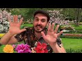 One Little Bud Music With Mr DelGaudio A Flower Song For Spring