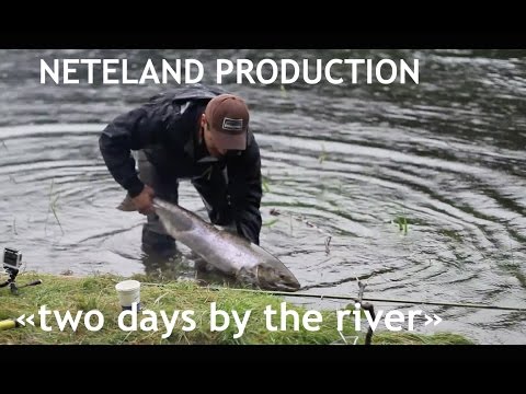 Laksefiske / Salmonfishing "Two days by the River" Vosso River Neteland Production