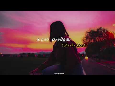 Adare sanwedana | ( ආදරේ සංවේදනා ) - ( Slowed + Reverb ) || Sithuzvibezz |𝙐𝙨𝙚 𝙝𝙚𝙖𝙙𝙥𝙝𝙤𝙣𝙚𝙨 | 🎧❤️‍🩹