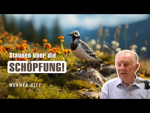 Überraschungen in der Schöpfung – Werner Gitt