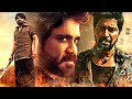 Happy Birthday Nagarjuna Naa Saami Ranga Best Action Scenes Best Climax Scene