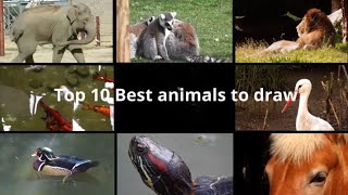 Top 10 Best Animals to Draw