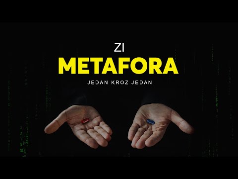 ZI - METAFORA