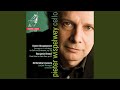 Cello Suite No. 3, Op. 87: III. Canto. Con moto