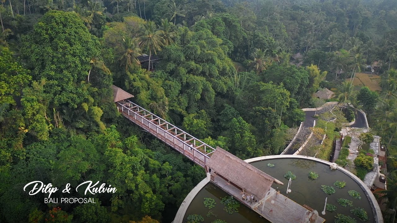 Video thumbnail: Dilip and Kelvin, aerial view of a jungle bridge and pool in Ubud
