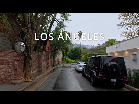Driving in Rain, Hollywood Hills, Los Angeles
