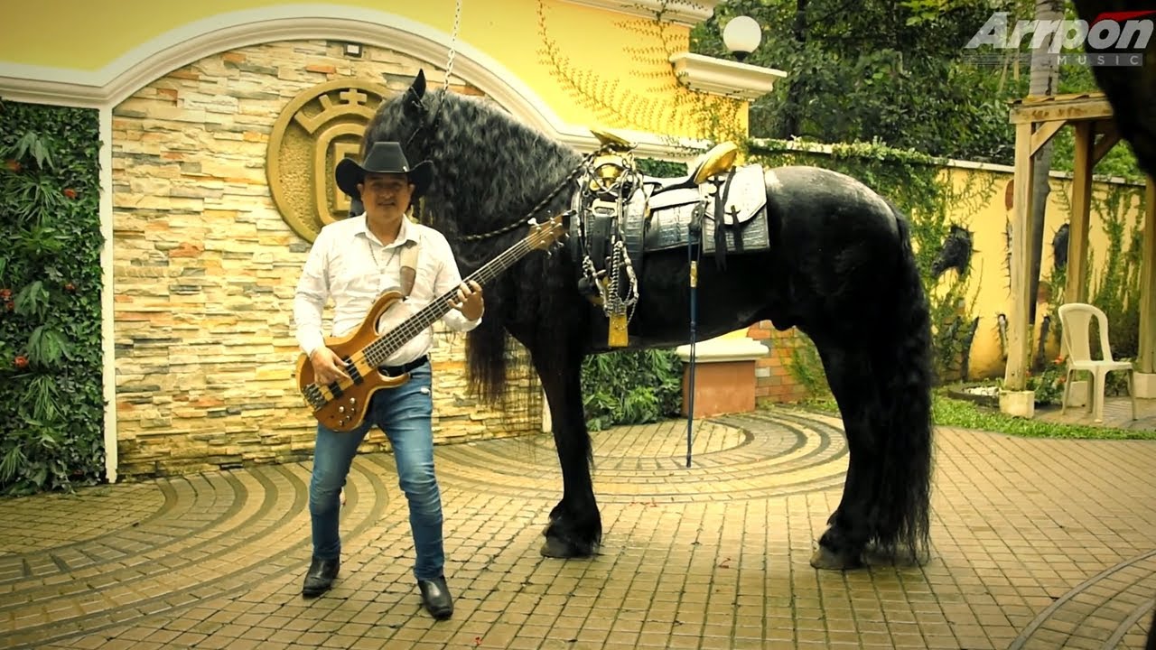 Elegantes de la Música Norteña - Huapango Morenita (Vídeo Oficial 2021)