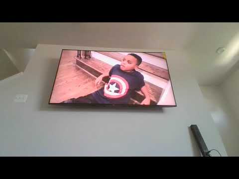 skunk in our house for 24 hours