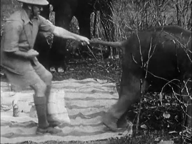 Indian Elephants in the Service of Man (1938) - amateur film by Jim Corbett