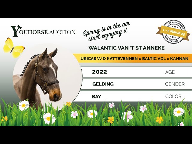 Walantic van 't St Anneke