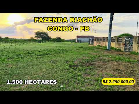 🌾 FAZENDA RIACHÃO – com excelente potencial para pecuária, agricultura no Cariri Paraibano. 🌾