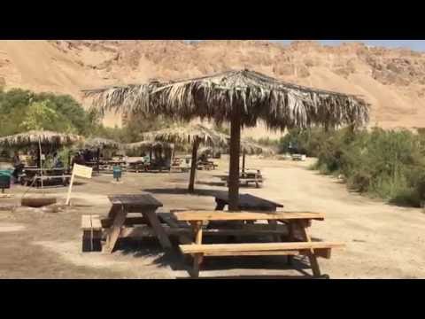 Einot Tzukim - O Segredo Perdido No Deserto