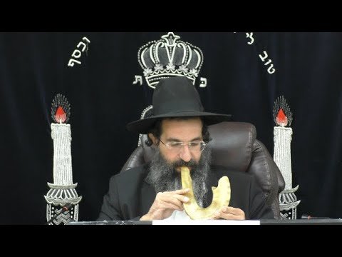 תקיעת שופר ושליח ציבור בראש השנה 🍏 הרב שי עובד | שני - פרשת האזינו - שבת שובה  - תשפד