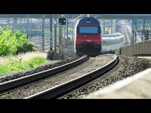 IR 36 Zürich - Basel